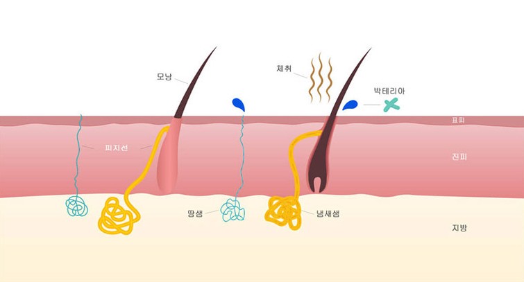 miraDry treatment mechanism